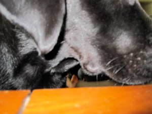 What is that blinking red light?