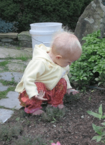 Evelyn playing in the dirt