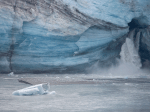 Glacier Bay