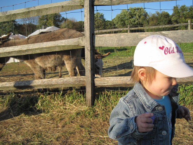 M at Foster Farm 10-17-11