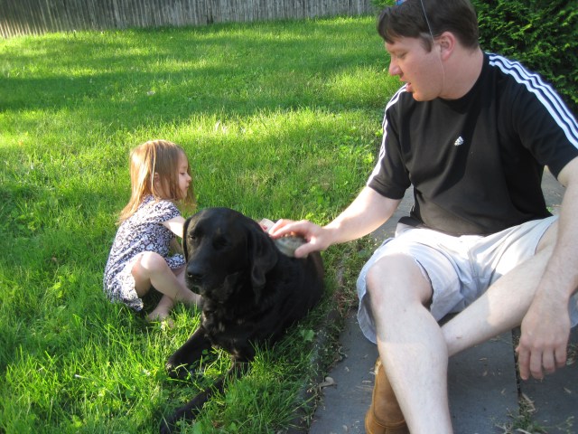 6-15-13 M Brushing Izzie