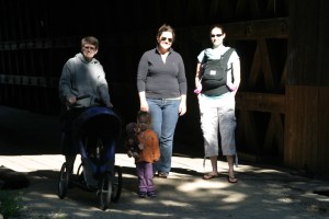 8-11-13 Coverbridge2