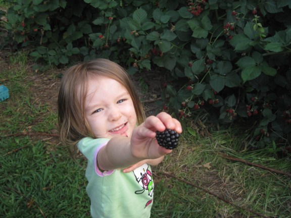 8-15-13 M blackberry 3