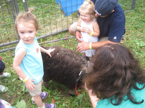 8-31-13 Farm Day Sheep