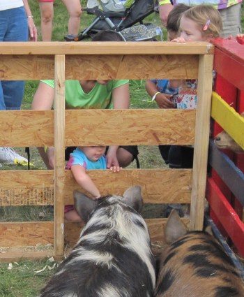 8-30-14 Farm Day Petting Zoo