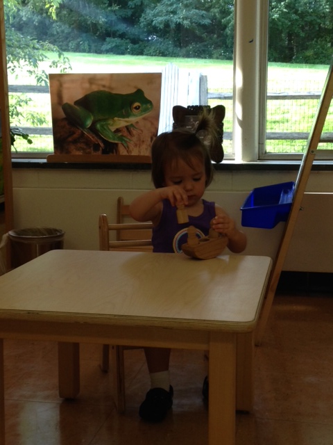 9-3-14 S 2nd day MSGH