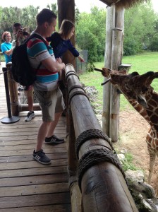 4-17-15 M feeds Giraffe